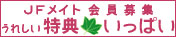 JF�ᥤ��