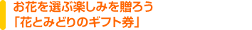 ���֤����ֳڤ��ߤ�£�������ֲ֤Ȥߤɤ�Υ��եȷ���