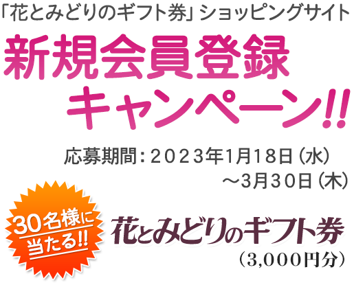 お祝い お盆 新盆 お彼岸 喪中のお供え お悔やみ お見舞い お中元 供花 線香贈答等 フラワーギフトならお花の商品券 花とみどりのギフト券