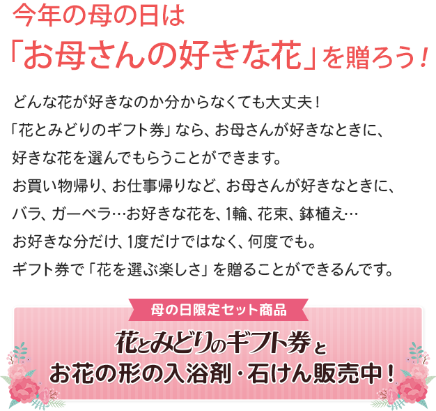 お祝い お盆 新盆 お彼岸 喪中のお供え お悔やみ お見舞い お中元 供花 線香贈答等 フラワーギフトならお花の商品券 花とみどりのギフト券