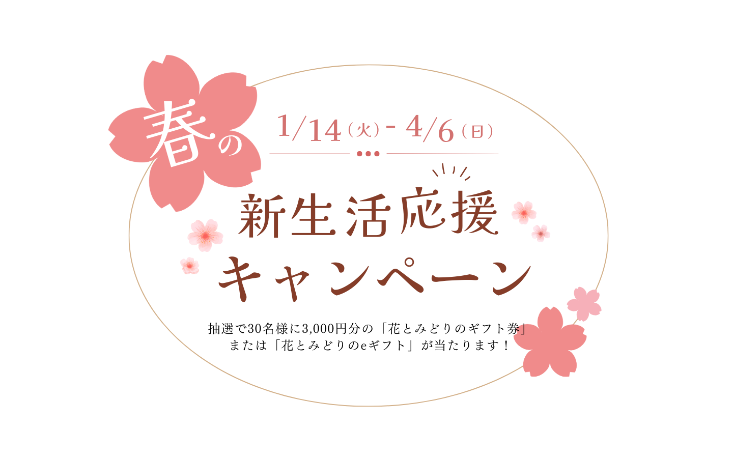 パイロゲン900ml ×6本入 箱未開封 フラワープレゼント応募券入 パイロゲン900ml ×6本入 箱未開封 フラワープレゼント応募券入