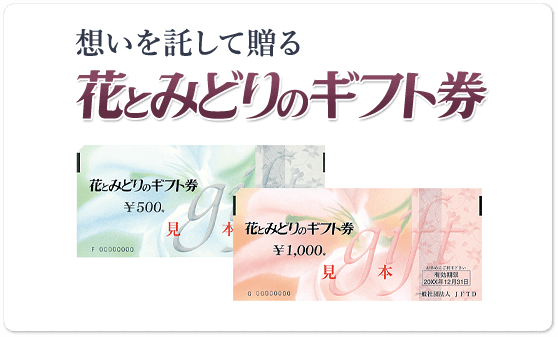 渫񤤤£