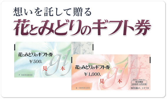 花とみどりのギフト券　ホワイトデー　記念日に